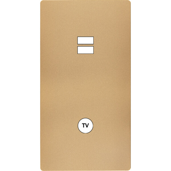 Façade "m" laiton sablé double verticale 1 chargeur usb  sans vis - Modelec - 297532M