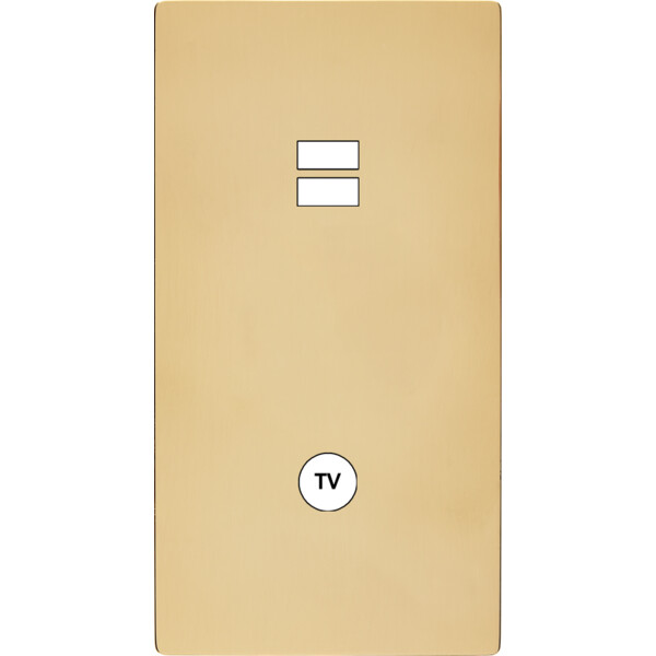 Façade "m" laiton miroir double verticale 1 chargeur usb  sans vis - Modelec - 297543M