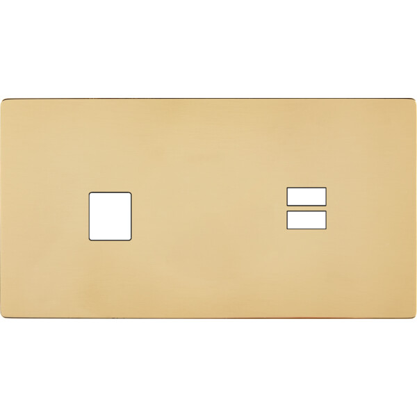 Façade "m" laiton verni double horizontale 1 media 1 chargeur usb sans vis - Modelec - 298542M