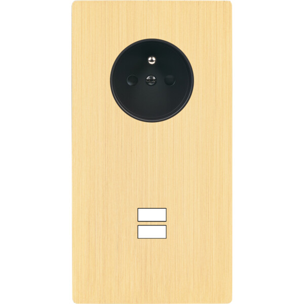 Façade "m" laiton brossé double verticale 1 prise 1 chargeur usb sans vis - Modelec - 299512M