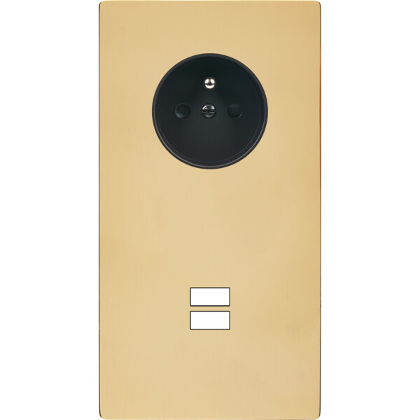 Façade "m" laiton miroir double verticale 1 prise 1 chargeur usb sans vis - Modelec - 299543M