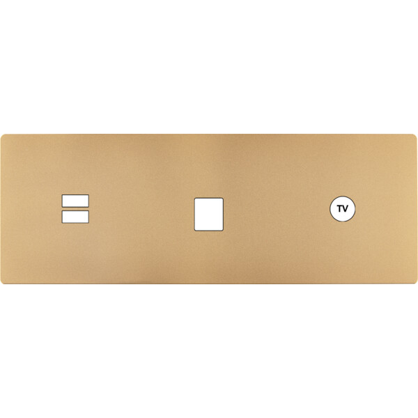 Façade "m" laiton sablé triple horizontale 1 chargeur usb 1 media 1 prise tv sans vis - Modelec - 339532M