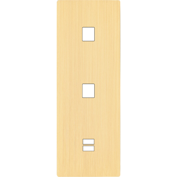 Façade "m" laiton brossé triple verticale 1 media 1 media 1 chargeur usb sans vis - Modelec - 380512M