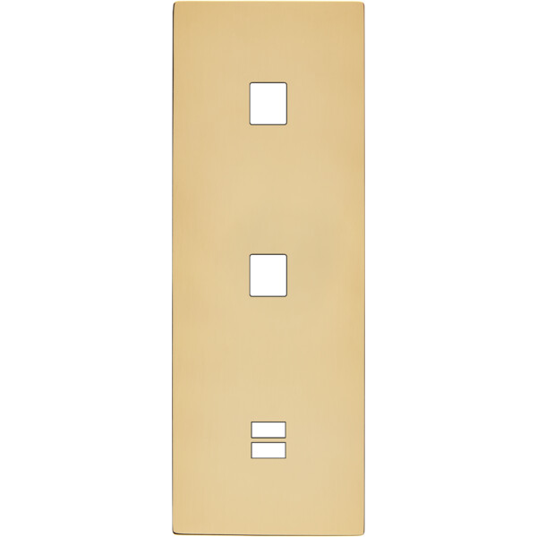 Façade "m" laiton verni triple verticale 1 media 1 media 1 chargeur usb sans vis - Modelec - 380542M