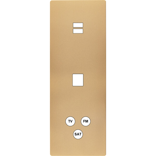 Façade "m" laiton sablé triple verticale 1 chargeur usb 1 media 1 tv-fm-sat sans vis - Modelec - 388532M