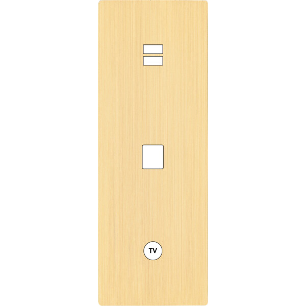 Façade "m" laiton brossé triple verticale 1 chargeur usb 1 media 1 prise tv sans vis - Modelec - 389512M
