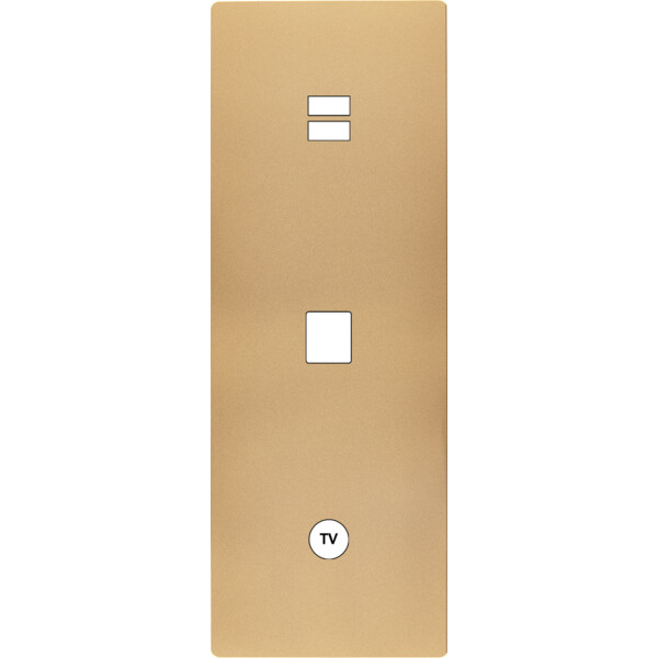 Façade "m" laiton sablé triple verticale 1 chargeur usb 1 media 1 prise tv sans vis - Modelec - 389532M