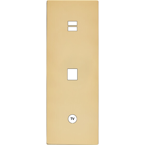 Façade "m" laiton verni triple verticale 1 chargeur usb 1 media 1 prise tv sans vis - Modelec - 389542M