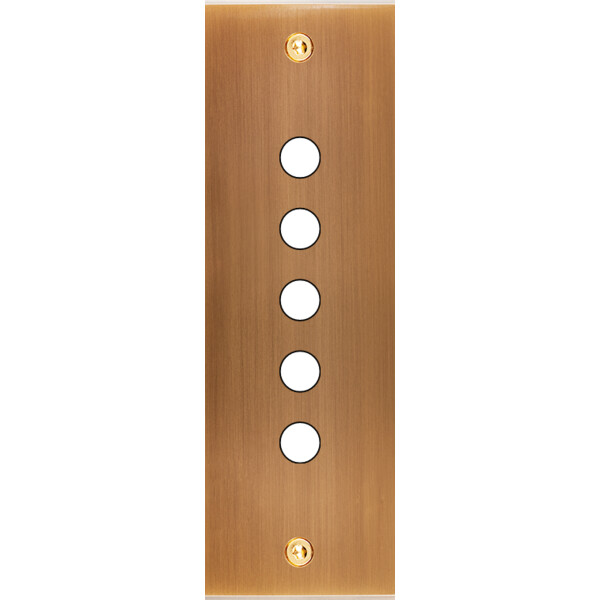 Façade Confidence Laiton  Vieux Bronze étroite longue 5 PUSH à vis (125-417) - Modelec - 125417
