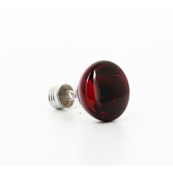 Lampe à Incandescence Rouge Orbitec - E27 - ø63mm - 230V - 40W - Orbitec - 006515