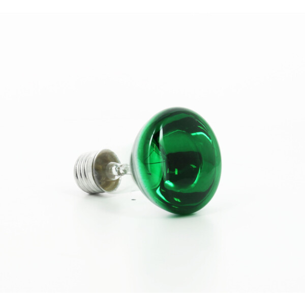 Lampe à incandescence Orbitec Vert R63 40W E27 - Orbitec - 006517
