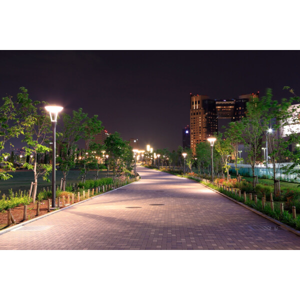 Trueforce core led road e40 32-100w 722 5200lm 25000h - Philips - 129406
