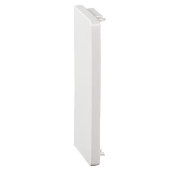 OptiLine 45 et 70 - goulotte PVC blanc 185 x 55 - embouts - Schneider Electric - ISM10504P
