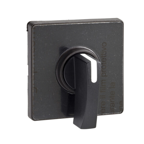 Schneider Electric Tête de Manoeuvre 60 X 60 Mm Noir Crosse Noire Marquage à Graver - Schneider Electric - KAD1H