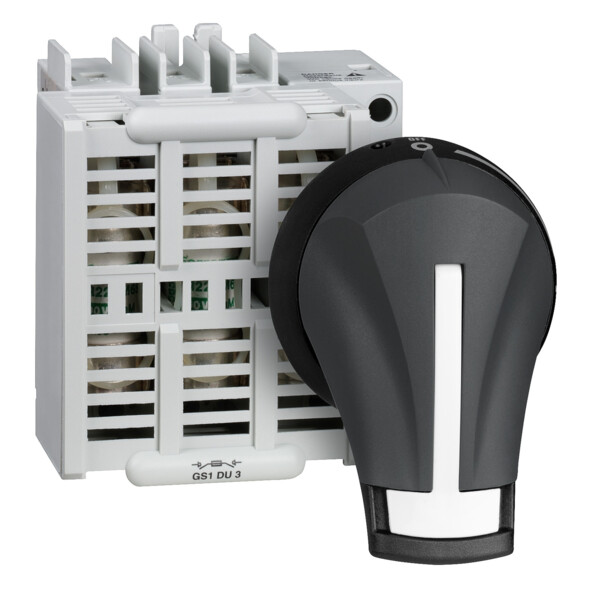 Schneider Electric Bloc de Base Interrupteur sectionneur Fusible Gs1 3P 3 F 30 A - Schneider Electric - GS1DU3