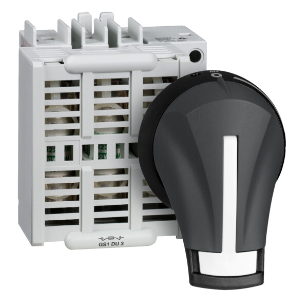 Schneider Electric Bloc de Base Interrupteur sectionneur Fusible Gs1 3P 3 F 30 A - Schneider Electric - GS1DU3