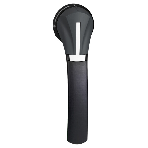 Schneider Electric Poignée externe Lat Droite 630..1250A Ip65 Noir - Schneider Electric - GS2AH250