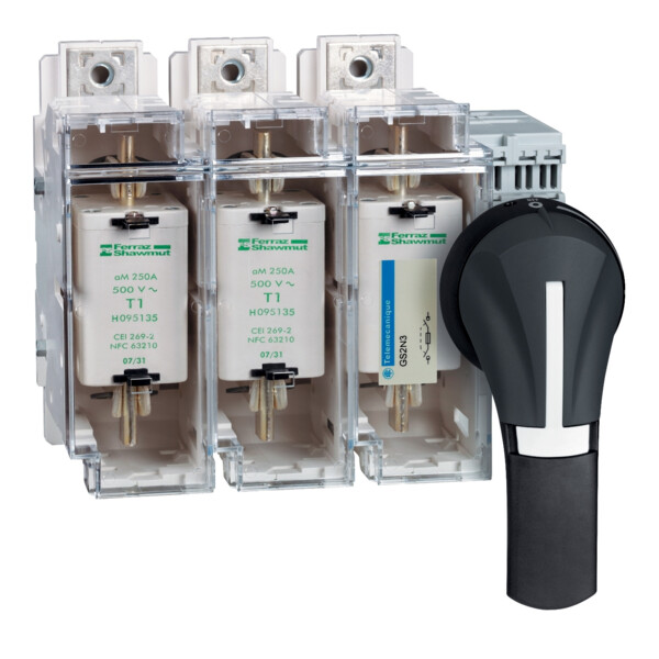 Schneider Electric Poignée externe Front 100..400A Ip65 Noire - Schneider Electric - GS2AH530
