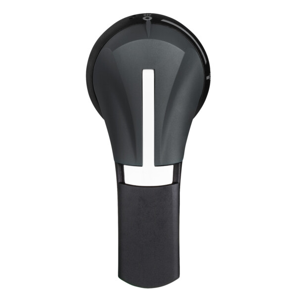 Schneider Electric Poignée externe Front 100..400A Ip55 Noire - Schneider Electric - GS2AH535