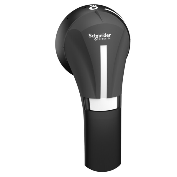 Schneider Electric Poignée externe Front 100..400A Ip65 Noire - Schneider Electric - GS2AHT530