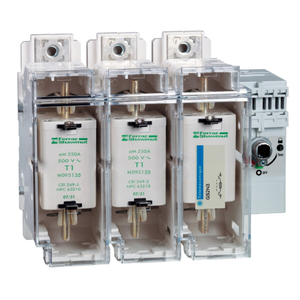 Schneider Electric Interrupteur sectionneur Fusible 3X 250A 1 - Schneider Electric - GS2N3