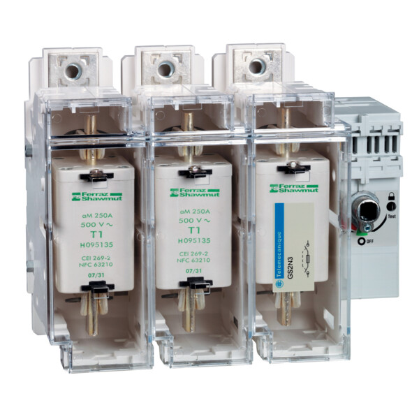 Schneider Electric Interrupteur sectionneur Fusible 3X 250A 1 - Schneider Electric - GS2N3