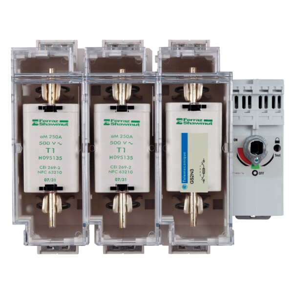 Schneider Electric Interrupteur sectionneur Fusible 3X 250A 1 - Schneider Electric - GS2N3