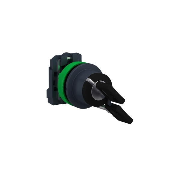 Harmony xb5 - bouton à clé 455 - ø22 - flush - 2 pos fix - retr gd - 1f - vis - Schneider Electric - XB5FG41