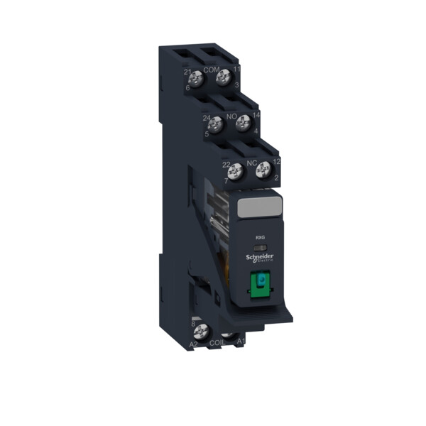 Zelio relay rxg - relais embrochable monté sur embase - test - 2of 5a - 24vdc - Schneider Electric - RXG21BDPV