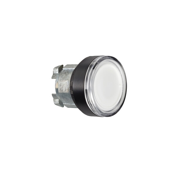 Harmony xb4 - porte-étiquette plat 30x40 - Ø22 - personnalisée via configurateur - Schneider Electric - ZB4BWCUST05