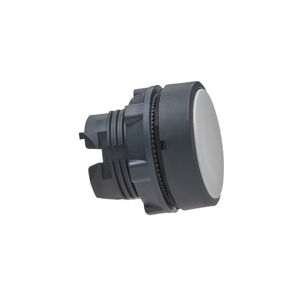 Harmony xb5 - porte-étiquette plat 30x40 - Ø22 - personnalisée via configurateur - Schneider Electric - ZB5AHCUST01