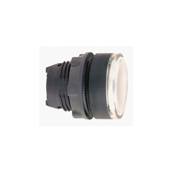 Harmony xb5 - porte-étiquette plat 30x40 - Ø22 - personnalisée via configurateur - Schneider Electric - ZB5AHCUST02
