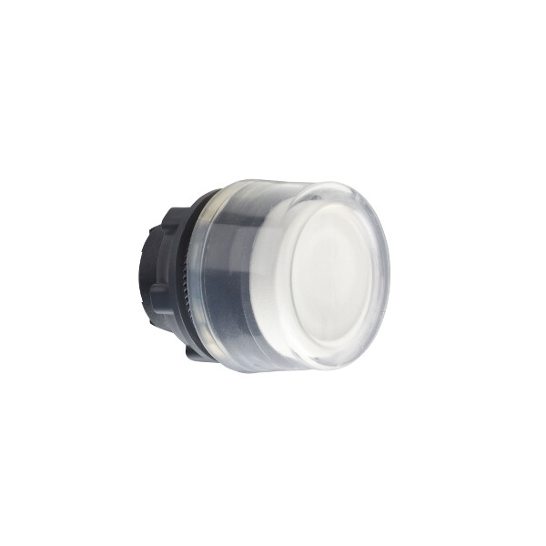 Harmony xb5 - porte-étiquette plat 30x40 - Ø22 - personnalisée via configurateur - Schneider Electric - ZB5APCUST01