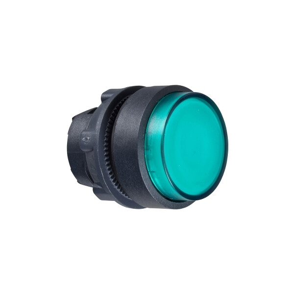 Harmony xb5 - porte-étiquette plat 30x40 - Ø22 - personnalisée via configurateur - Schneider Electric - ZB5AWCUST03