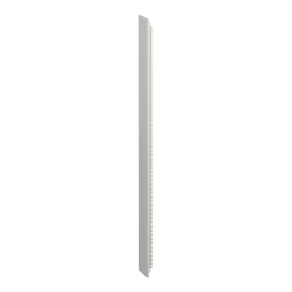 Prismaset g active - panneau latéral-armoire 30m-ip30-peinture satin ral spé. - Schneider Electric - LVS01034AZ