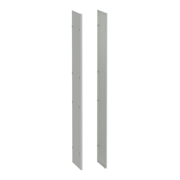 Prismaset p active - panneau latéral - ip30 - p400 - lot de 2-peint str.ral spé - Schneider Electric - LVS08750AX