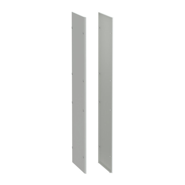 Prismaset p active - panneau latéral - ip30 - p600 - lot de 2-peint str.ral spé - Schneider Electric - LVS08760AX