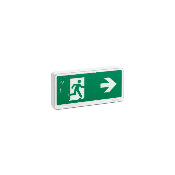 Exiway light bloc de secours bifonction ip42 sati link - Schneider Electric - OVA59430