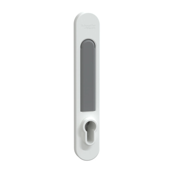 Prismaset g active - poignée euro prismaset - ip30 & pack 250 - blanc ral9003 - Schneider Electric - LVS07932