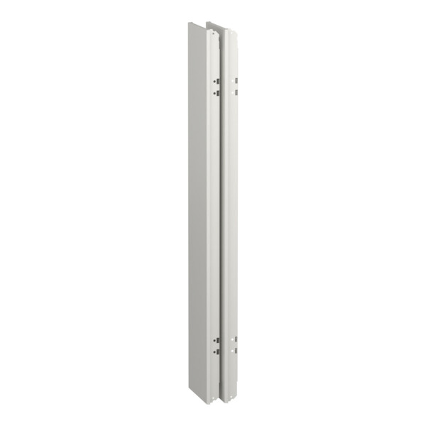 Prismaset g active - panneau latéral coffret ip55 - 23m - lot(x2) - ral9003 - Schneider Electric - LVS08356