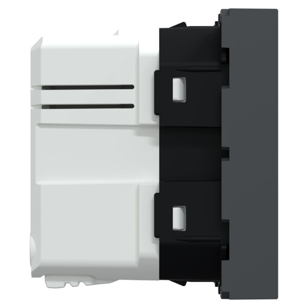 Unica - chargeur USB double type C+C - 21W Power Delivery - 2 mod - anthracite - Schneider Electric - NU301254