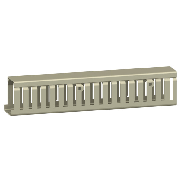 GOULOTTE DIN GRISE 25X50 - Schneider Electric - AK2GD2550