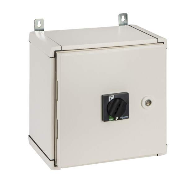 Schneider Electric Coff Tole Etanche Ip55 pour Ins40 A 160 A Cde Prol Front Std - Schneider Electric - 31208