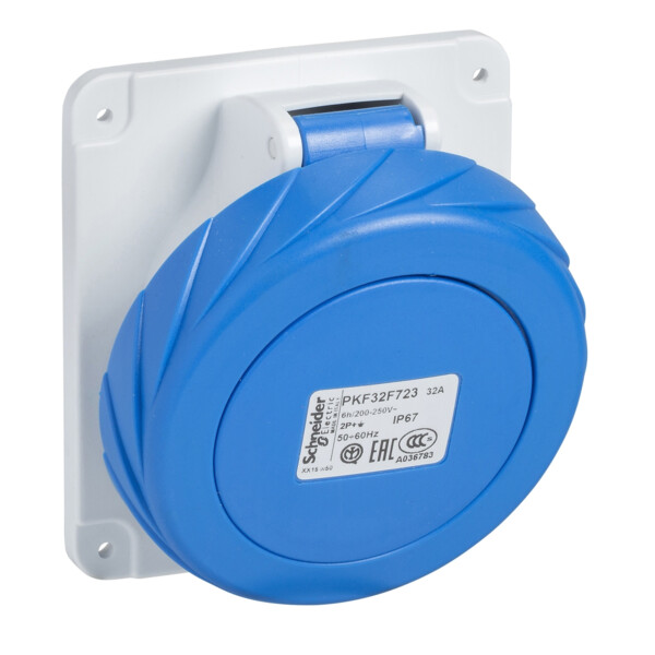 SOCLE PRISE ENC. INC. 63A 2PT   200-250V IP67 50-60HZ - Schneider Electric - 81278