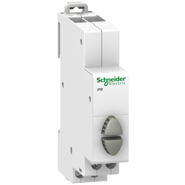 Acti9, iPB bouton-poussoir double 1 NO gris + 1 NO gris 20A 230VCA - Schneider Electric - A9E18035