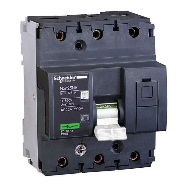 interrupteursectionneur NG125NA 3P 80 A - Schneider Electric - 18890
