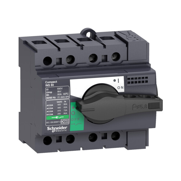 Schneider Electric Interrupteur sectionneur Interpact Ins80 3P 80 A - Schneider Electric - 28904