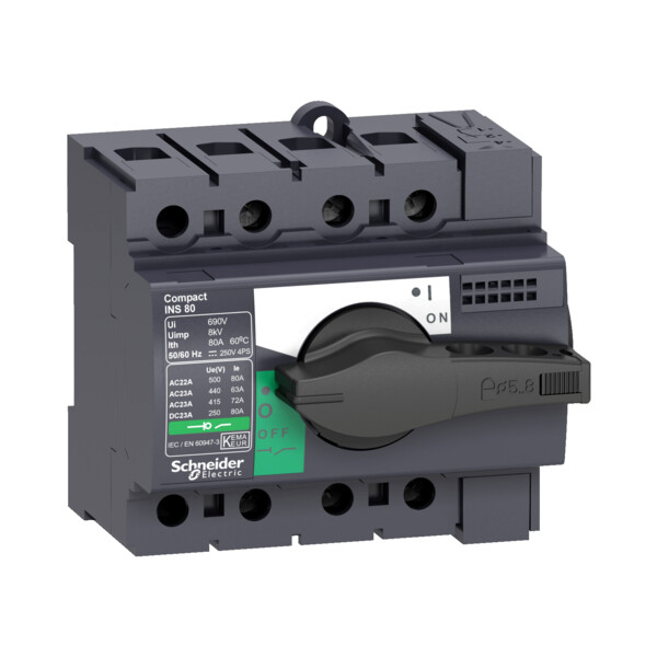 Schneider Electric Interrupteur sectionneur Interpact Ins80 3P 80 A - Schneider Electric - 28904
