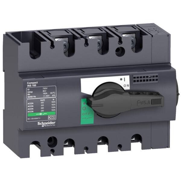 Schneider Electric Interrupteur sectionneur Interpact Ins125 3P 125 A - Schneider Electric - 28910