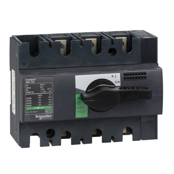 Schneider Electric Interrupteur sectionneur Interpact Ins125 3P 125 A - Schneider Electric - 28910